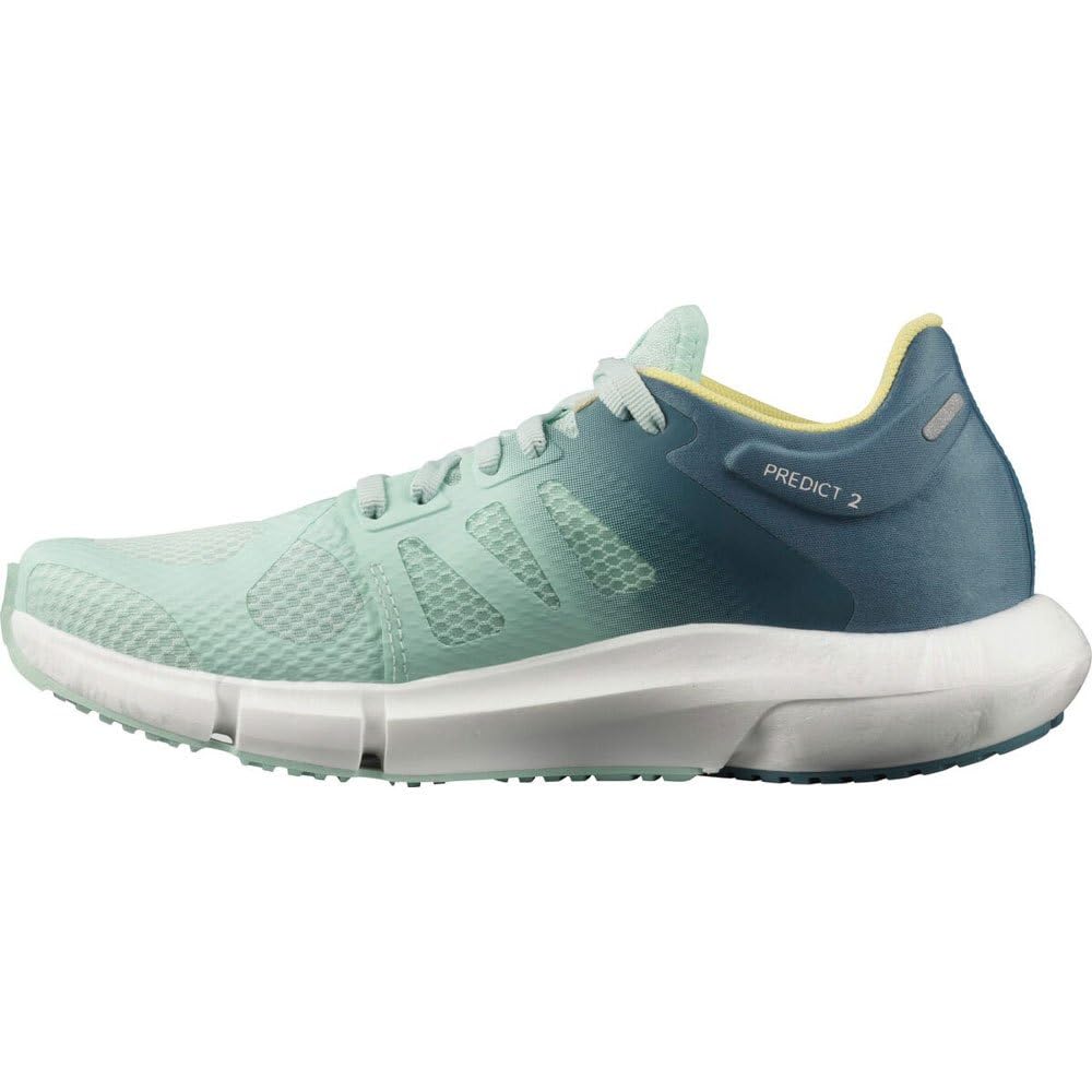 Salomon Women's Predict2 W Running Shoes, ICY Morn/Copen Blue/Charlock, 9.5