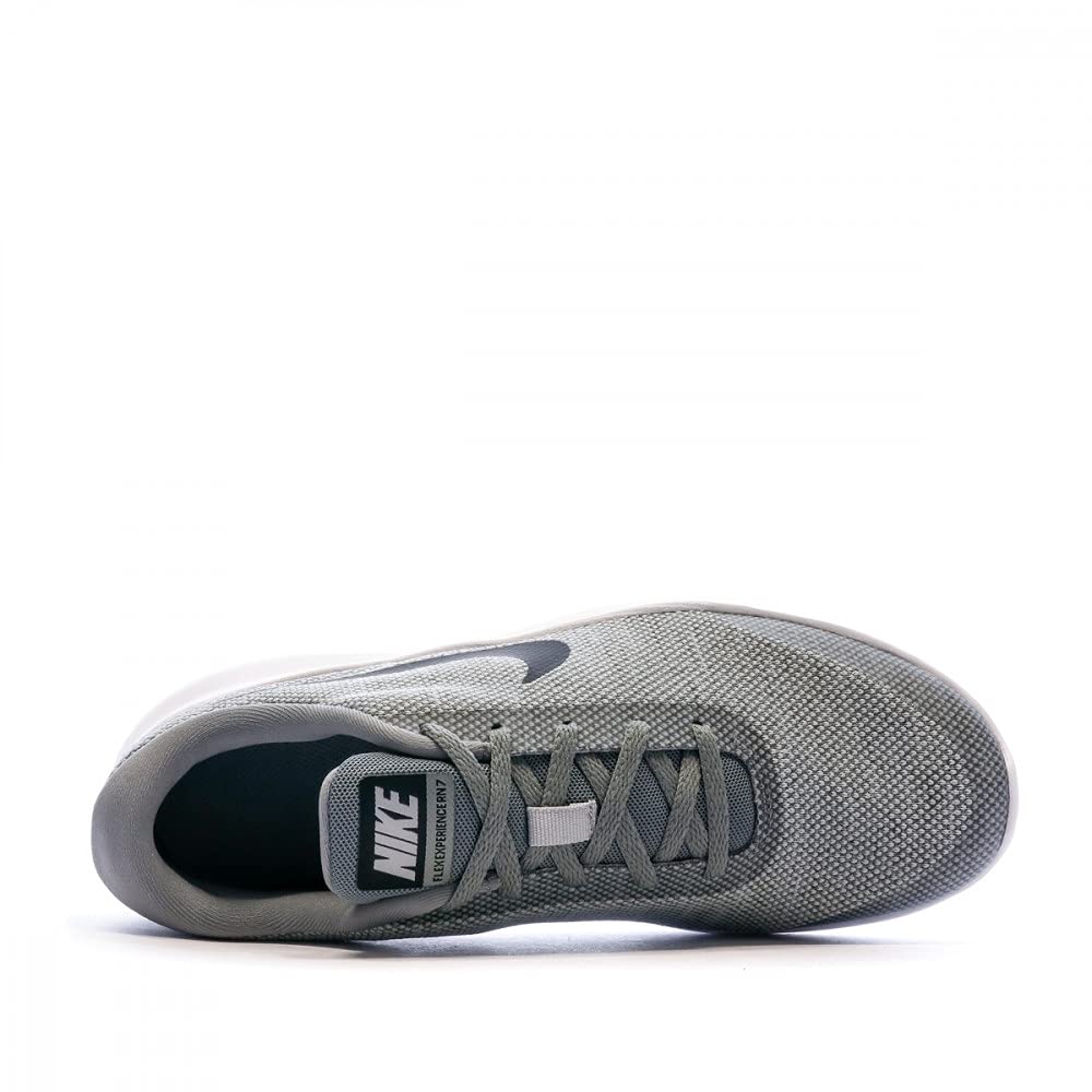 Nike Men's Flex Experience Running Shoe Wolf Grey/Black-Cool Grey-White 8