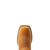 ARIAT Womens Anthem VentTEK Waterproof Western Boot Toasted Wheat 10