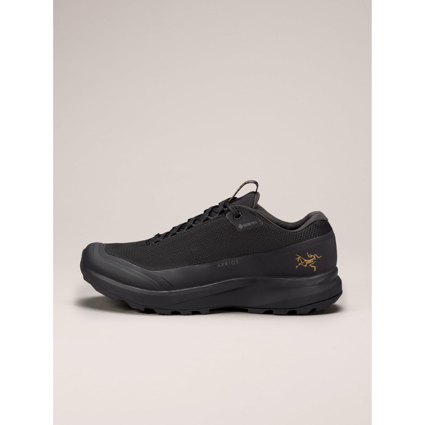Arc'teryx Aerios GTX Shoe Women's | Fast and Light Gore-Tex Hiking Shoe | Black/Black, 6.5