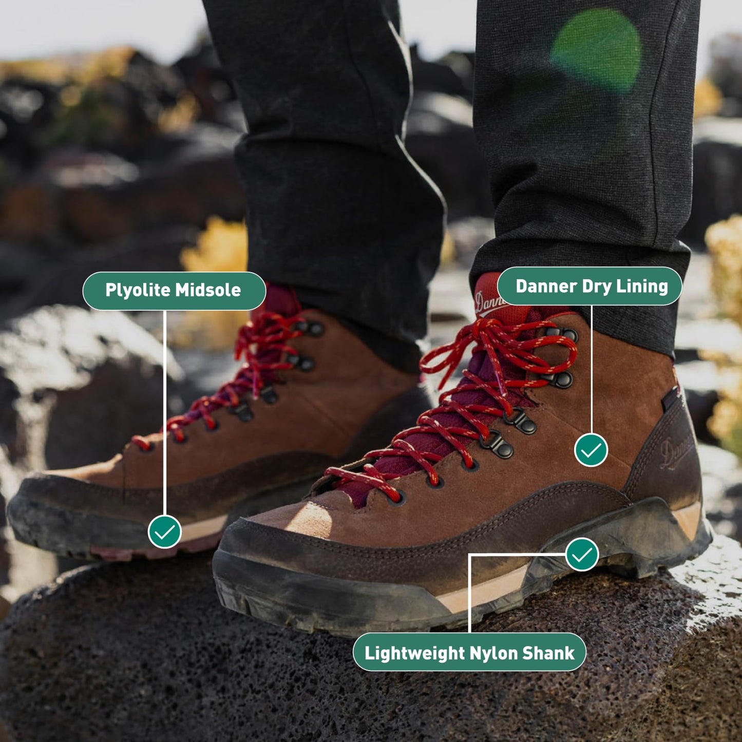 Danner Panorama 6” Waterproof Hiking Boots for Men with Rich Suede Upper, Breathable Danner Dry Barrier, Comfort Footbed, and Traction Outsole, Antique Bronze/Kangaroo - 10 EE