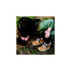 Bare Steps Cocoa, Chestnut, 8.5 M