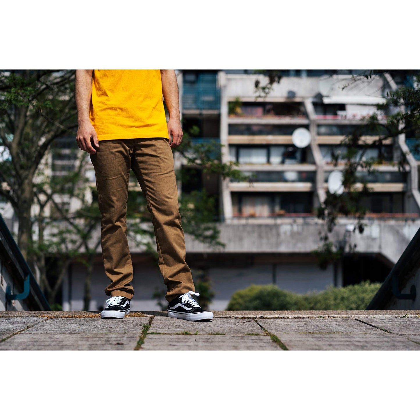 Vans Mens Authentic Stretch Chino Pants Dirt 32 R